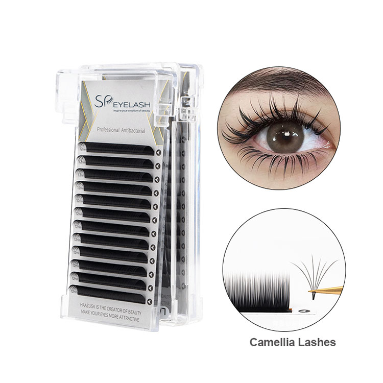 0,07 tavă Camellia Lash